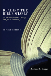Imagen de portada: Reading the Bible Wisely 9781610972888