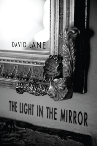 Titelbild: The Light in the Mirror 9781610972758