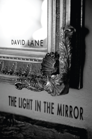 Cover image: The Light in the Mirror 9781610972758