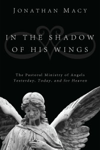 Titelbild: In the Shadow of His Wings 9781608998371