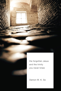 Imagen de portada: The Forgotten Jesus and the Trinity You Never Knew 9781608996315