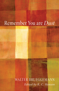 Cover image: Remember You Are Dust 9781610975353