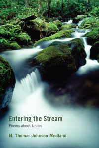 Cover image: Entering the Stream 9781610971393