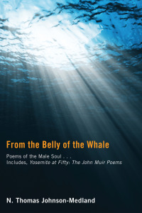 Omslagafbeelding: From the Belly of the Whale 9781610974158
