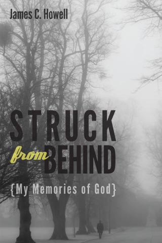 Imagen de portada: Struck from Behind 9781610979320