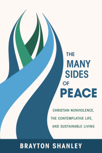 Omslagafbeelding: The Many Sides of Peace 9781620327746