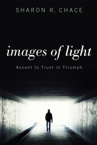 Imagen de portada: Images of Light 9781620324752