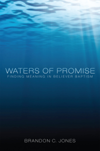 Omslagafbeelding: Waters of Promise 9781610976282