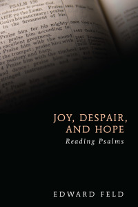 Imagen de portada: Joy, Despair, and Hope 9781620321744