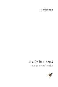 Imagen de portada: The Fly in My Eye 9781608999354