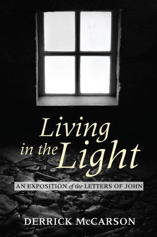 Cover image: Living in the Light 9781620329030