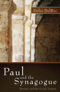 Imagen de portada: Paul and the Synagogue 9781620321973