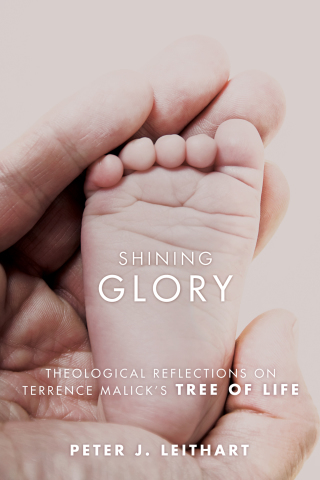 Cover image: Shining Glory 9781620324134