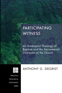 Cover image: Participating Witness 9781620324882