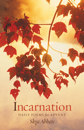 Imagen de portada: Incarnation 9781625642202