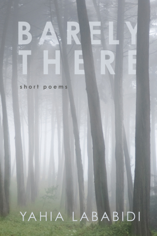 Cover image: Barely There 9781625642790