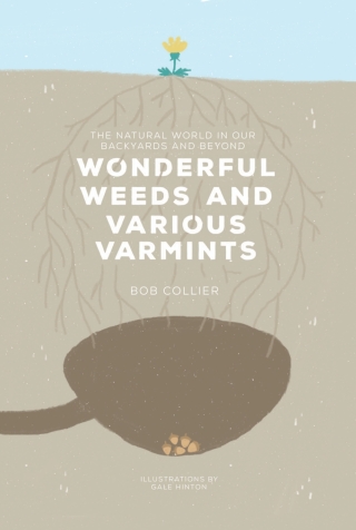 صورة الغلاف: Wonderful Weeds and Various Varmints 9781621904496