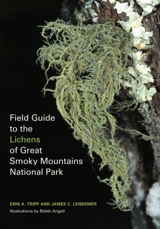صورة الغلاف: Field Guide to the Lichens of Great Smoky Mountains National Park 9781621905141