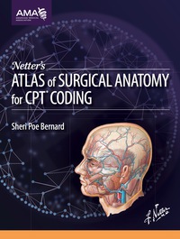 Imagen de portada: Netter's Atlas of Surgical Anatomy for CPT Coding 9781622020300