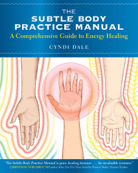 Cover image: The Subtle Body Practice Manual 9781604078794