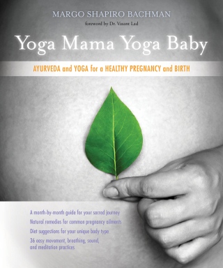 Cover image: Yoga Mama, Yoga Baby 9781604079852