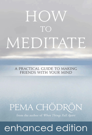 Cover image: How to Meditate 9781604079333
