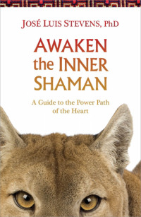 Cover image: Awaken the Inner Shaman 9781622030934