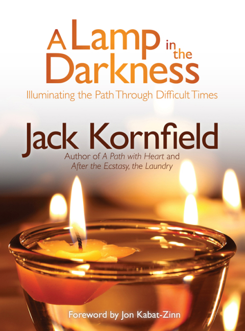 A Lamp in the Darkness: Illuminating the Path Through Difficult Times - FULL INSTANT DOWNLOAD | PDF DOCX EPUB