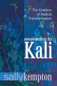 Cover image: Awakening to Kali 9781622035403