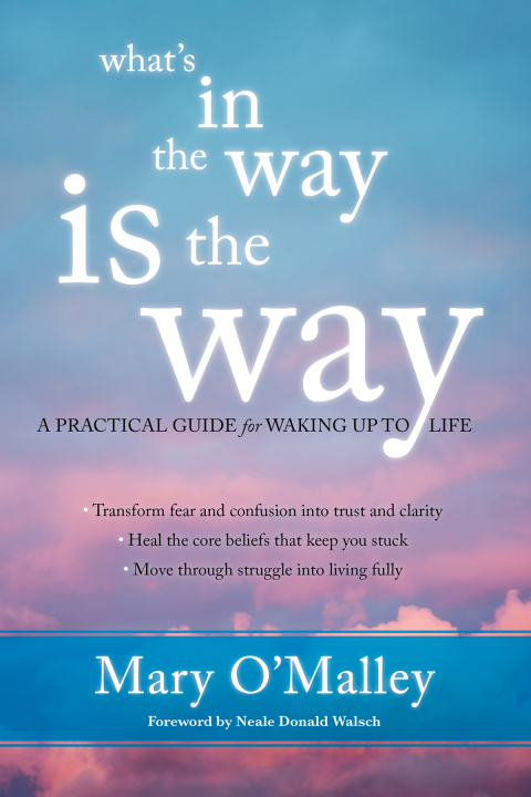 What's in the Way Is the Way : A Practical Guide for Waking Up to Life - FULL INSTANT DOWNLOAD | PDF DOCX EPUB