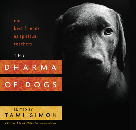 The Dharma of Dogs: Our Best Friends as Spiritual Teachers - FULL INSTANT DOWNLOAD | PDF DOCX EPUB