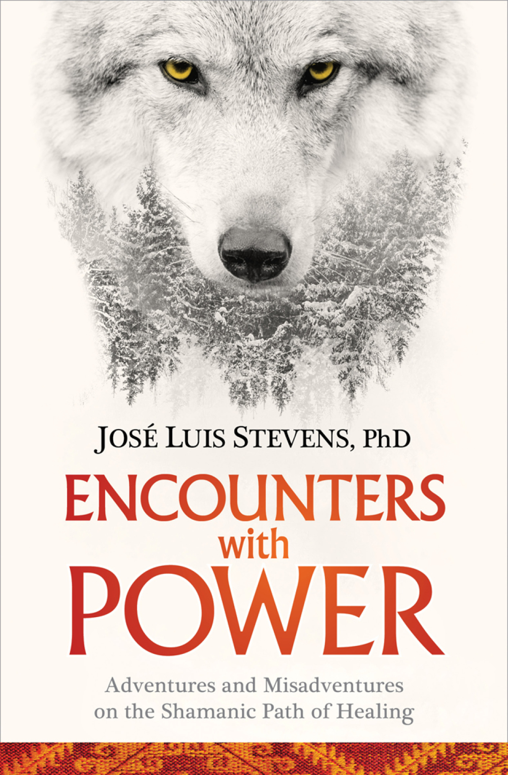 Encounters with Power Adventures and Misadventures on the Shamanic Path of Healing