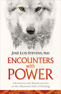Cover image: Encounters with Power 9781622037933