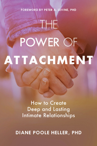 Cover image: The Power of Attachment 9781622038251