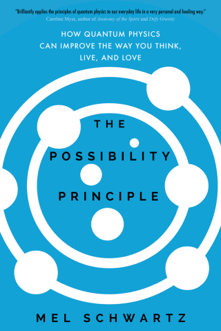 Cover image: The Possibility Principle 9781622038633