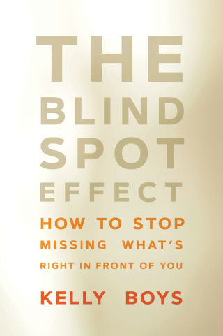 Cover image: The Blind Spot Effect 9781622039975