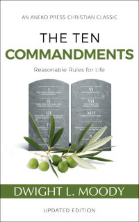 Cover image: The Ten Commandments 1st edition 9781622455638