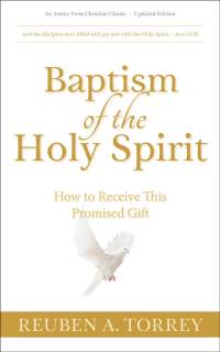 Cover image: Baptism of the Holy Spirit 1st edition 9781622456154