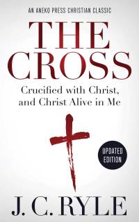 Omslagafbeelding: The Cross 1st edition 9781622456413