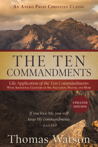 表紙画像: The Ten Commandments 1st edition 9781622456802