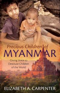 Omslagafbeelding: Precious Children of Myanmar 1st edition 9781622456840