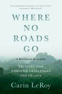 Immagine di copertina: Where No Roads Go 1st edition 9781622457441