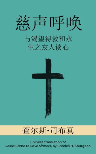 Cover image: 慈声呼唤 (Call of Tenderness) 1st edition 9781622457861