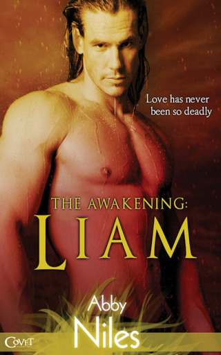 Cover image: The Awakening: Liam 9781622662821