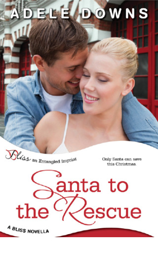Cover image: Santa to the Rescue 9781622663811