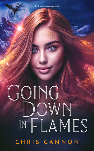 Cover image: Going Down in Flames 9781622665303