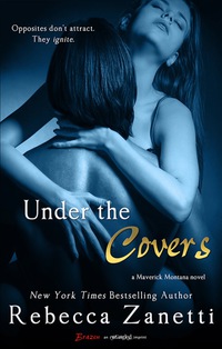 Cover image: Under the Covers 9781622666874