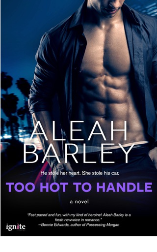 Cover image: Too Hot to Handle 9781622669257