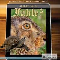 صورة الغلاف: What Is a Fable? 1st edition 9781622752003