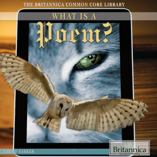 Imagen de portada: What Is a Poem? 1st edition 9781622752201